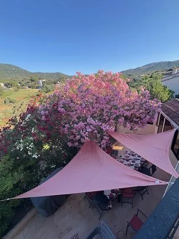 别墅 La Casa San Biaggio 阿雅克肖